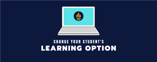 learning options learning options